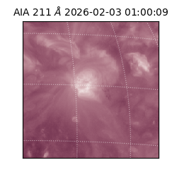 saia - 2026-02-03T01:00:09.633000