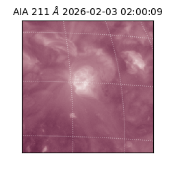 saia - 2026-02-03T02:00:09.632000