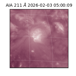 saia - 2026-02-03T05:00:09.626000