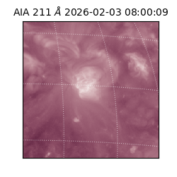 saia - 2026-02-03T08:00:09.631000