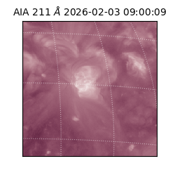 saia - 2026-02-03T09:00:09.625000