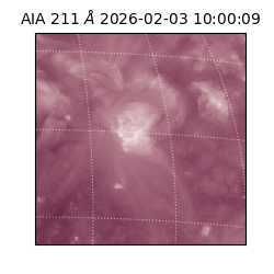 saia - 2026-02-03T10:00:09.632000