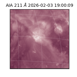 saia - 2026-02-03T19:00:09.632000