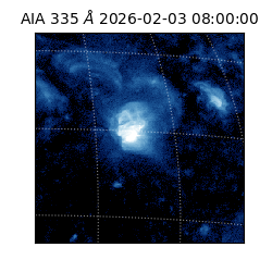 saia - 2026-02-03T08:00:00.625000