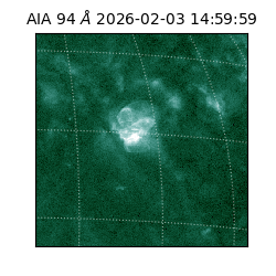 saia - 2026-02-03T14:59:59.122000