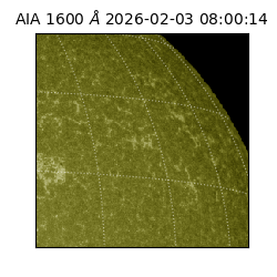 saia - 2026-02-03T08:00:14.126000