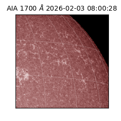 saia - 2026-02-03T08:00:28.710000