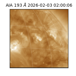 saia - 2026-02-03T02:00:06.431000