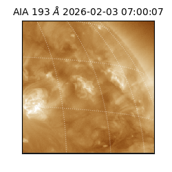 saia - 2026-02-03T07:00:07.033000