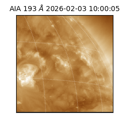 saia - 2026-02-03T10:00:05.916000