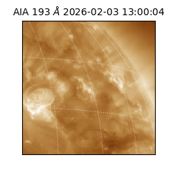 saia - 2026-02-03T13:00:04.843000