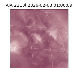 saia - 2026-02-03T01:00:09.633000