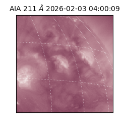 saia - 2026-02-03T04:00:09.626000