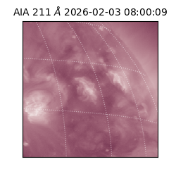 saia - 2026-02-03T08:00:09.631000