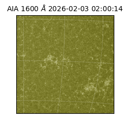 saia - 2026-02-03T02:00:14.126000