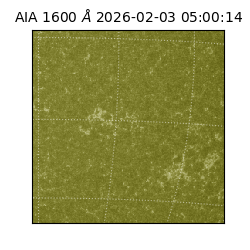 saia - 2026-02-03T05:00:14.118000