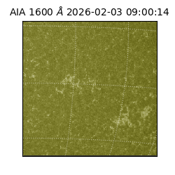 saia - 2026-02-03T09:00:14.118000