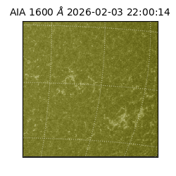 saia - 2026-02-03T22:00:14.126000