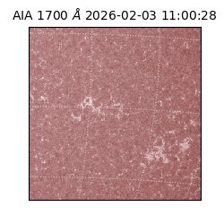 saia - 2026-02-03T11:00:28.717000