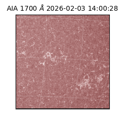 saia - 2026-02-03T14:00:28.718000