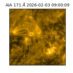 saia - 2026-02-03T09:00:09.342000