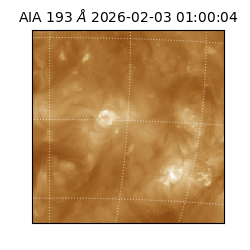 saia - 2026-02-03T01:00:04.843000