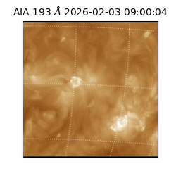 saia - 2026-02-03T09:00:04.835000