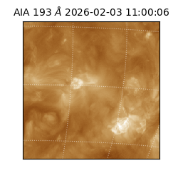 saia - 2026-02-03T11:00:06.232000