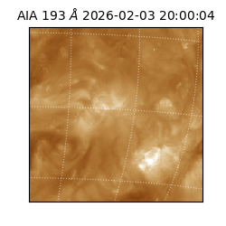 saia - 2026-02-03T20:00:04.843000