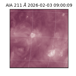 saia - 2026-02-03T09:00:09.625000