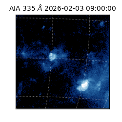 saia - 2026-02-03T09:00:00.625000