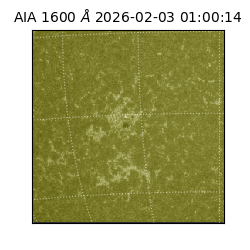 saia - 2026-02-03T01:00:14.126000