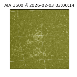 saia - 2026-02-03T03:00:14.126000