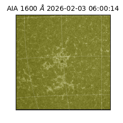 saia - 2026-02-03T06:00:14.126000