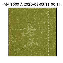 saia - 2026-02-03T11:00:14.126000