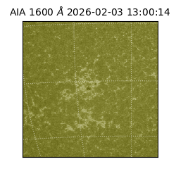 saia - 2026-02-03T13:00:14.125000