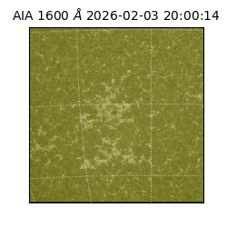 saia - 2026-02-03T20:00:14.126000