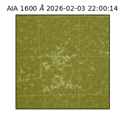 saia - 2026-02-03T22:00:14.126000