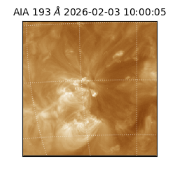 saia - 2026-02-03T10:00:05.916000