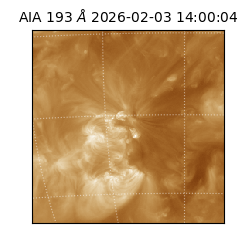 saia - 2026-02-03T14:00:04.835000