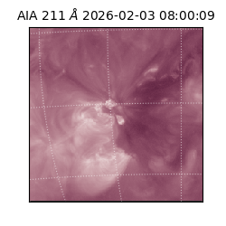 saia - 2026-02-03T08:00:09.631000