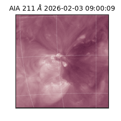 saia - 2026-02-03T09:00:09.625000