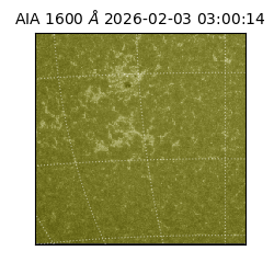 saia - 2026-02-03T03:00:14.126000