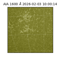 saia - 2026-02-03T10:00:14.126000