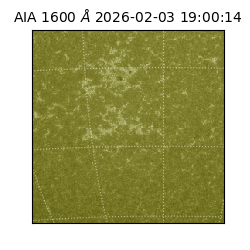 saia - 2026-02-03T19:00:14.126000