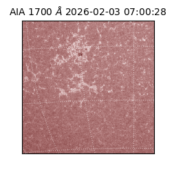 saia - 2026-02-03T07:00:28.721000