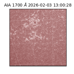 saia - 2026-02-03T13:00:28.719000