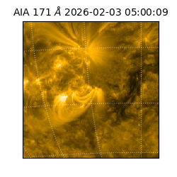 saia - 2026-02-03T05:00:09.343000