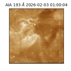 saia - 2026-02-03T01:00:04.843000