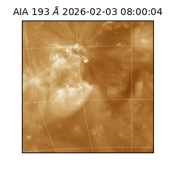 saia - 2026-02-03T08:00:04.843000